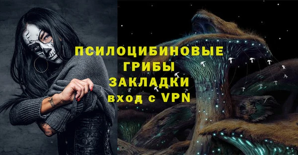 гашик Абинск