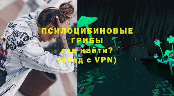 спиды Абаза