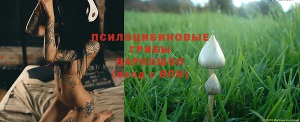 спиды Абаза