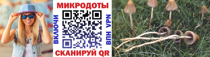Галлюциногенные грибы MAGIC MUSHROOMS  Богородск 